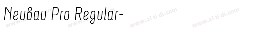 Neubau Pro Regular字体转换